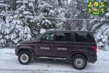 выкса.рф, В Выксе поймали похитителя новогодней елки